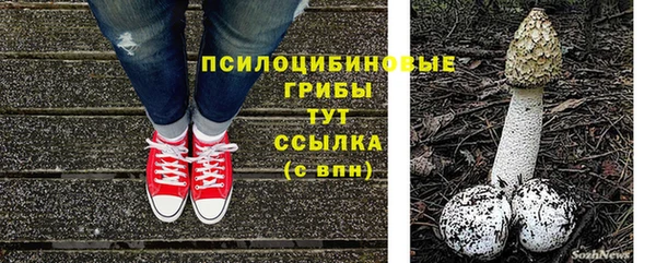 а пвп мука Наволоки