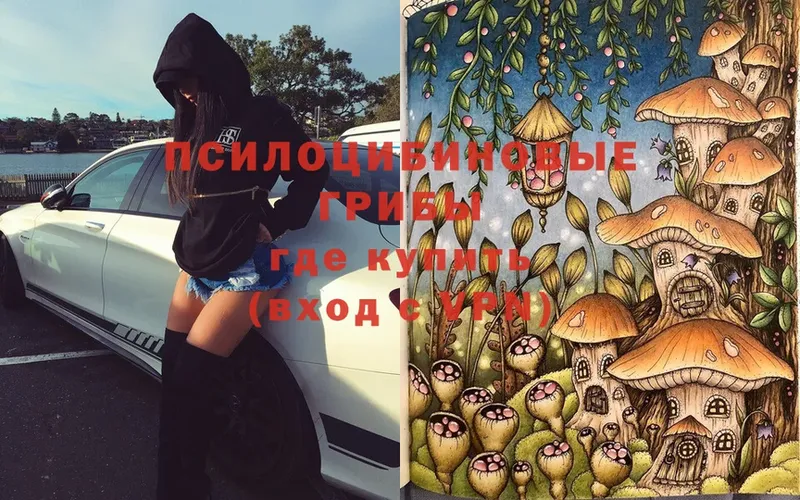 Галлюциногенные грибы Magic Shrooms  купить   Уфа 