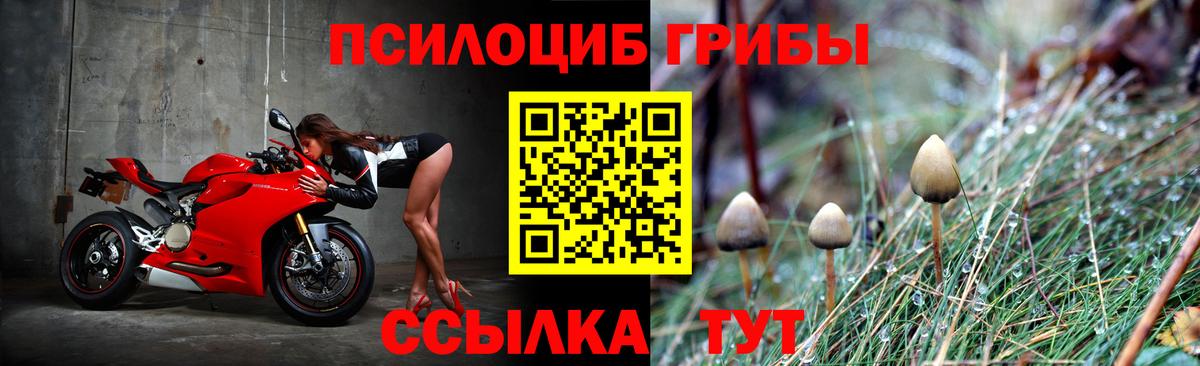 Псилоцибиновые грибы ЛСД Уфа